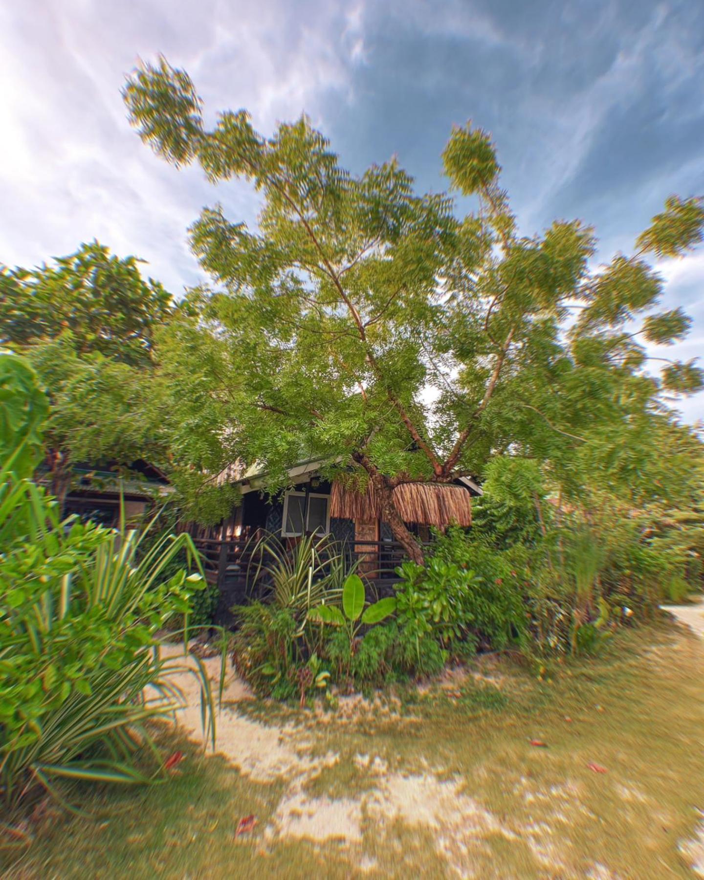 Patrick'S On The Beach Resort General Luna  Exterior foto